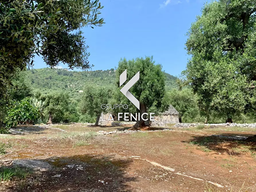 Immagine 37 di Rustico / casale in vendita  in c.da Gravinella a Fasano