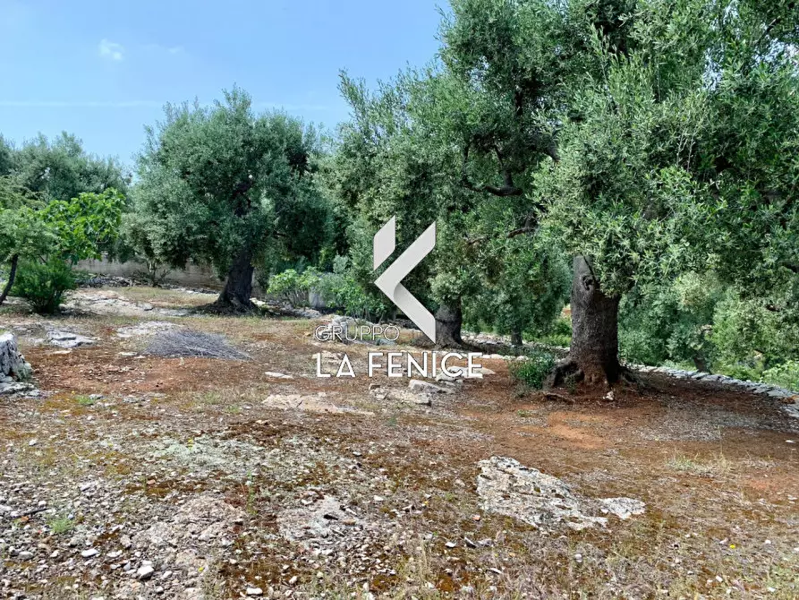 Immagine 38 di Rustico / casale in vendita  in c.da Gravinella a Fasano