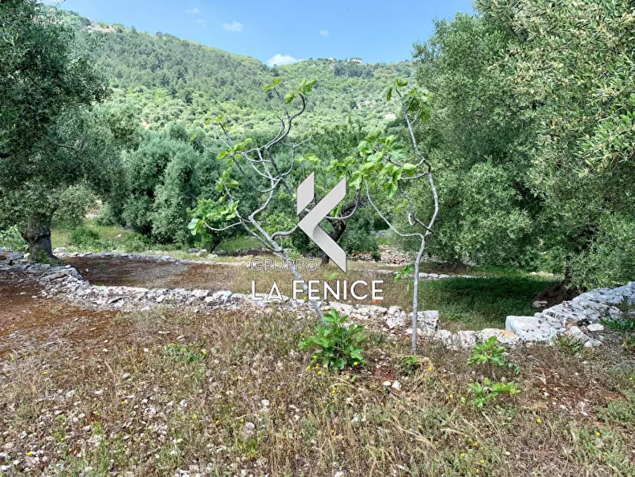 Immagine 39 di Rustico / casale in vendita  in c.da Gravinella a Fasano