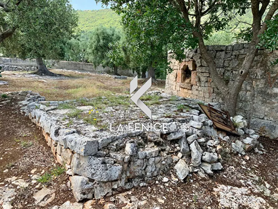 Immagine 42 di Rustico / casale in vendita  in c.da Gravinella a Fasano