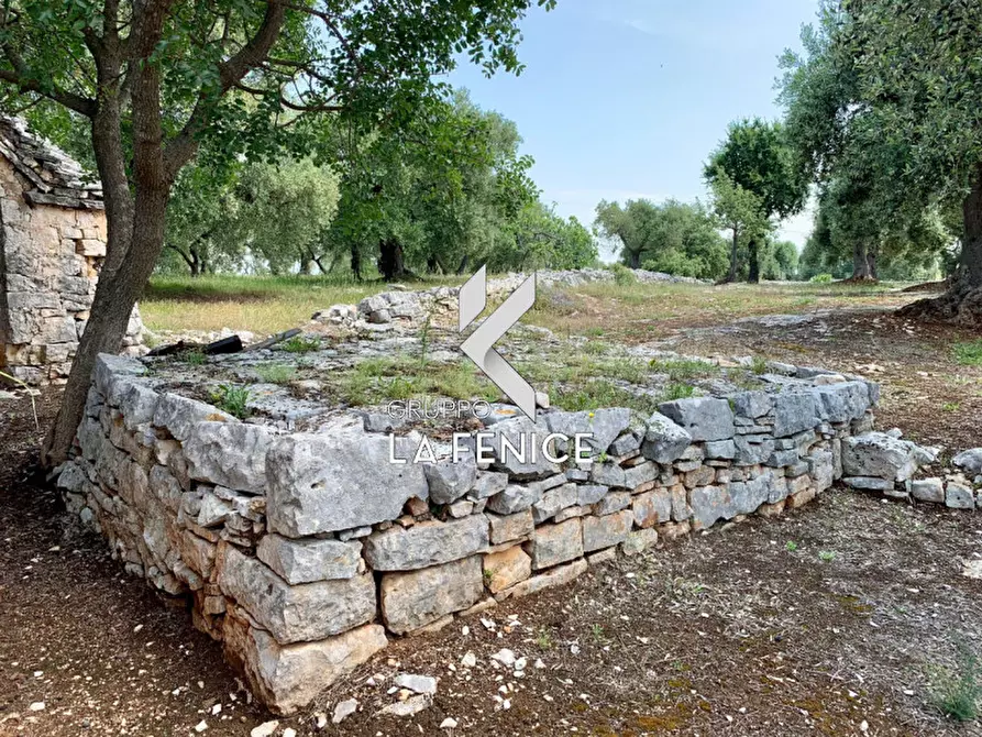 Immagine 43 di Rustico / casale in vendita  in c.da Gravinella a Fasano
