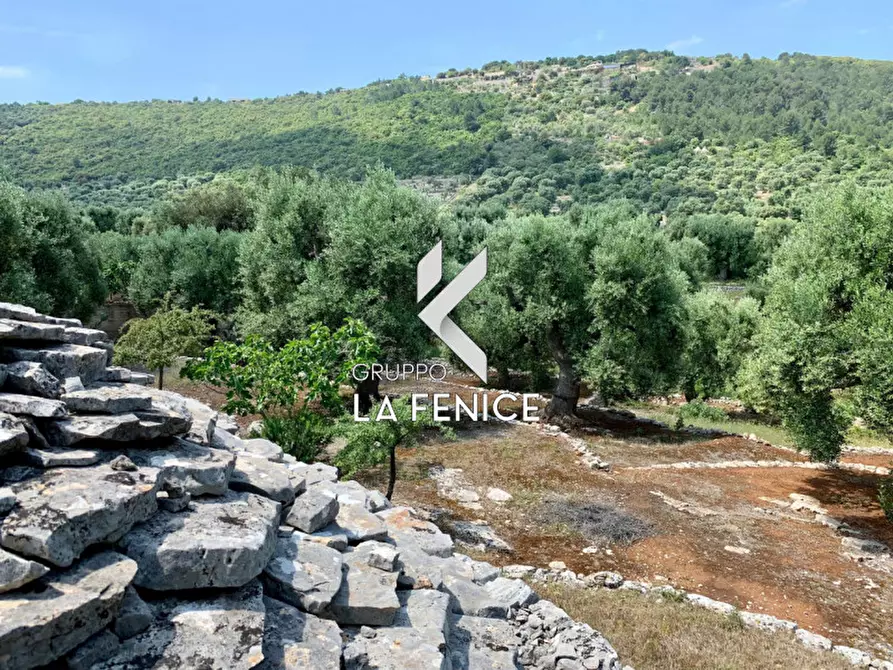 Immagine 47 di Rustico / casale in vendita  in c.da Gravinella a Fasano