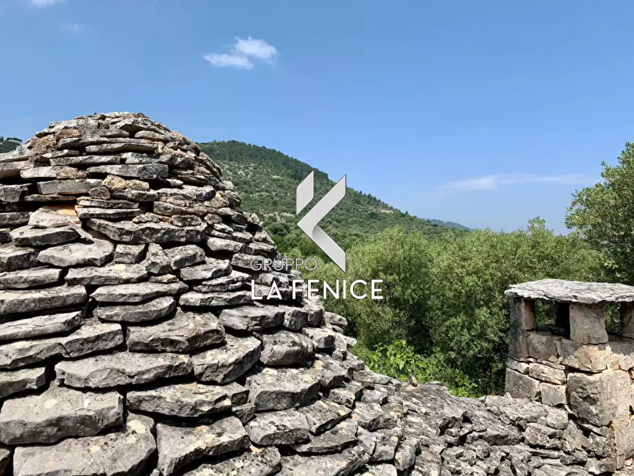 Immagine 48 di Rustico / casale in vendita  in c.da Gravinella a Fasano