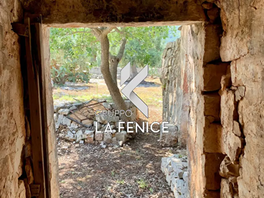 Immagine 52 di Rustico / casale in vendita  in c.da Gravinella a Fasano