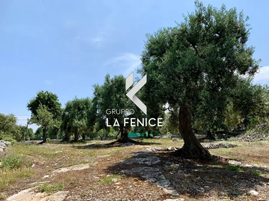 Immagine 56 di Rustico / casale in vendita  in c.da Gravinella a Fasano