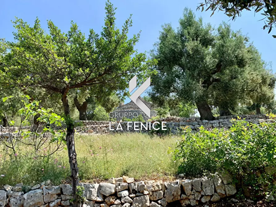 Immagine 58 di Rustico / casale in vendita  in c.da Gravinella a Fasano