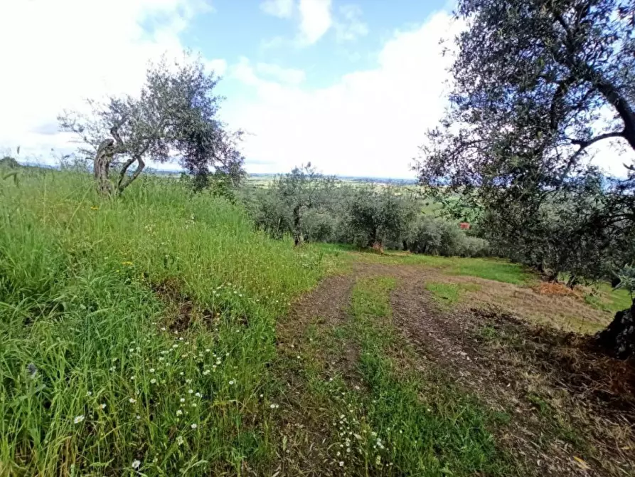 Immagine 3 di Terreno in vendita  in via delle Fontanelle a Panicale