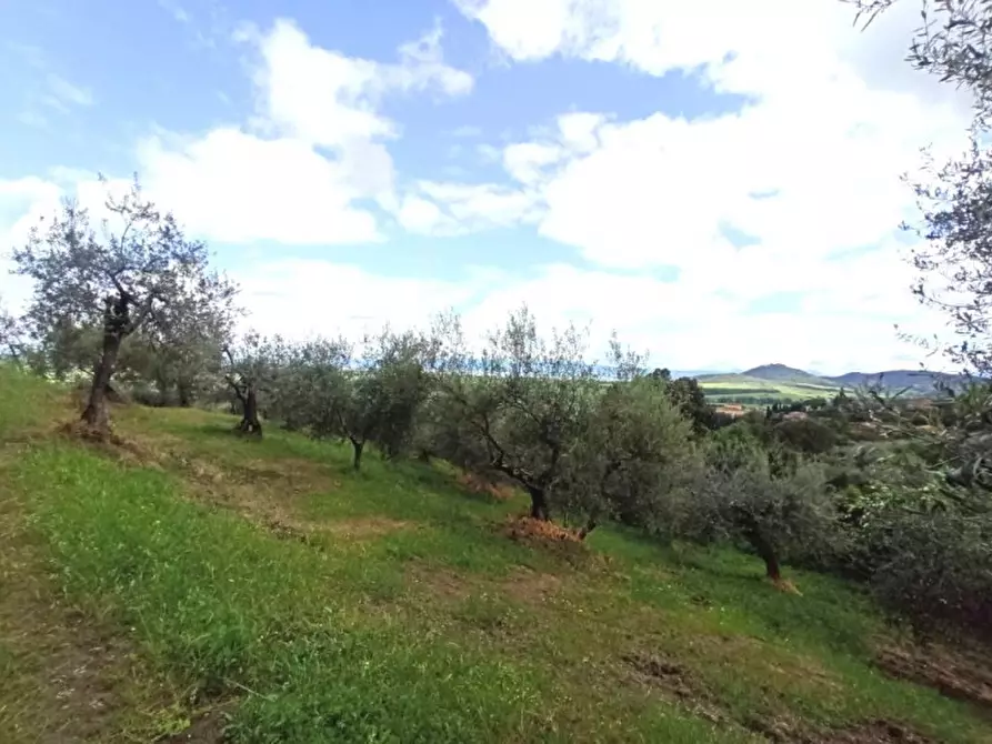 Immagine 7 di Terreno in vendita  in via delle Fontanelle a Panicale