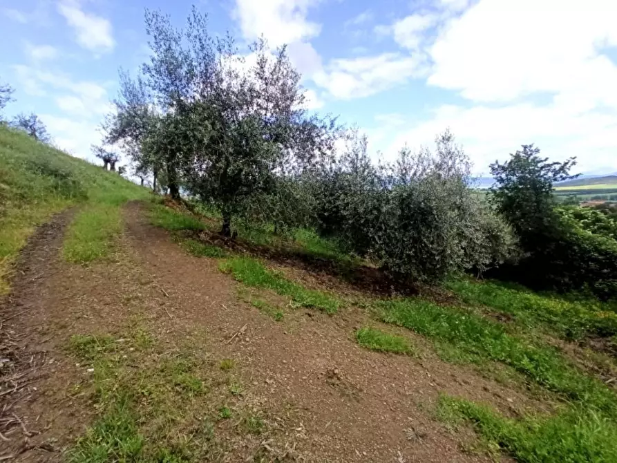 Immagine 9 di Terreno in vendita  in via delle Fontanelle a Panicale