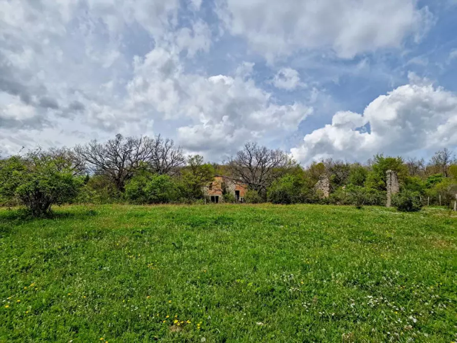 Immagine 9 di Rustico / casale in vendita  in localita Fusigno a Sestino