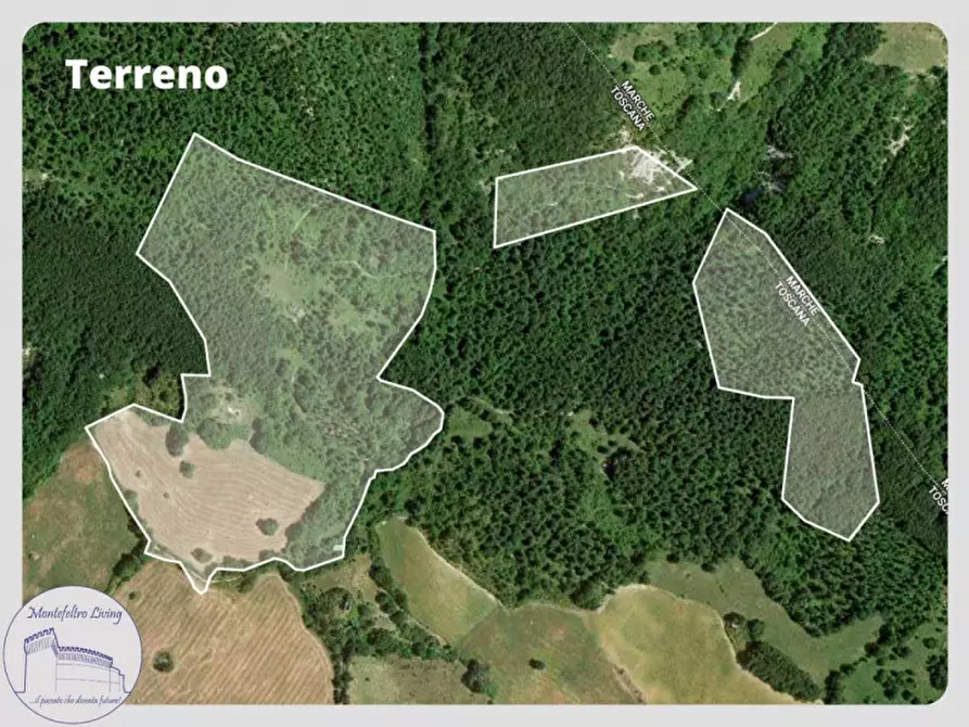 Immagine 20 di Rustico / casale in vendita  in localita Fusigno a Sestino