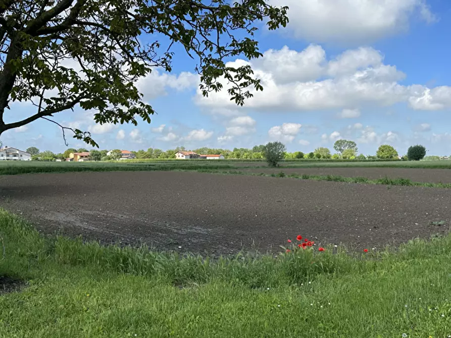 Immagine 1 di Terreno in vendita  in Via Lazzarin a Tribano