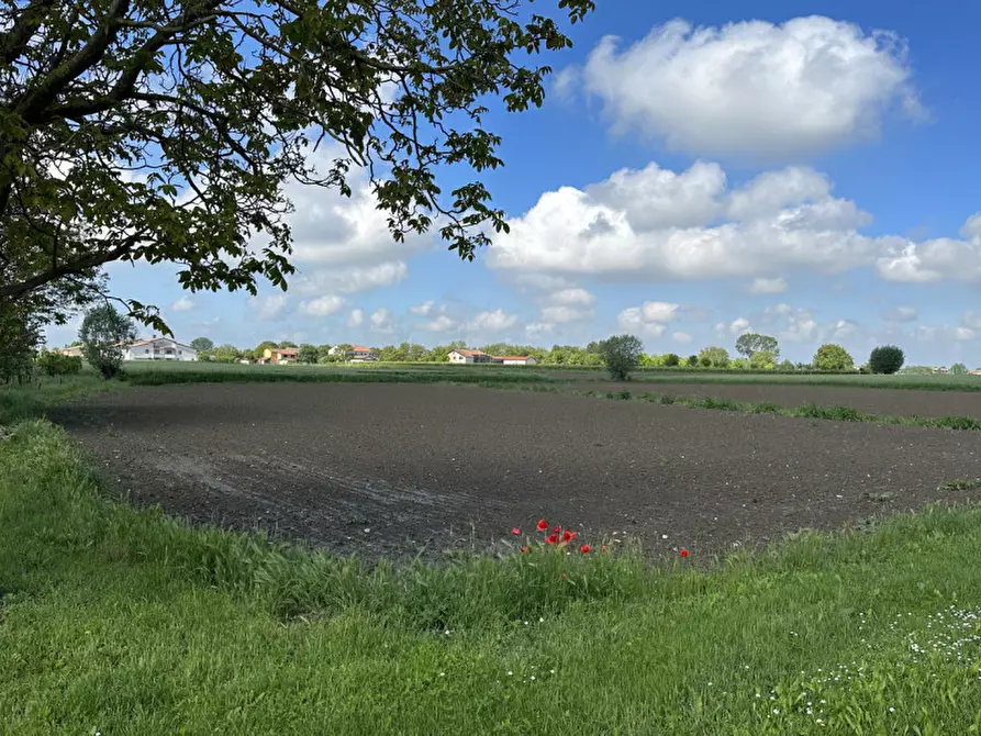 Immagine 2 di Terreno in vendita  in Via Lazzarin a Tribano