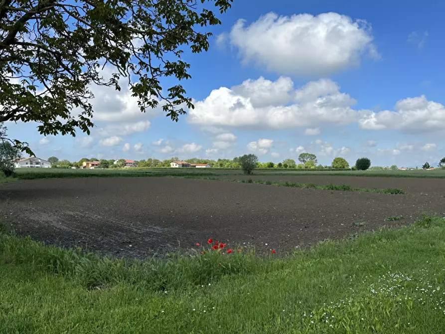 Immagine 3 di Terreno in vendita  in Via Lazzarin a Tribano
