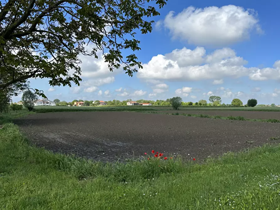 Immagine 4 di Terreno in vendita  in Via Lazzarin a Tribano