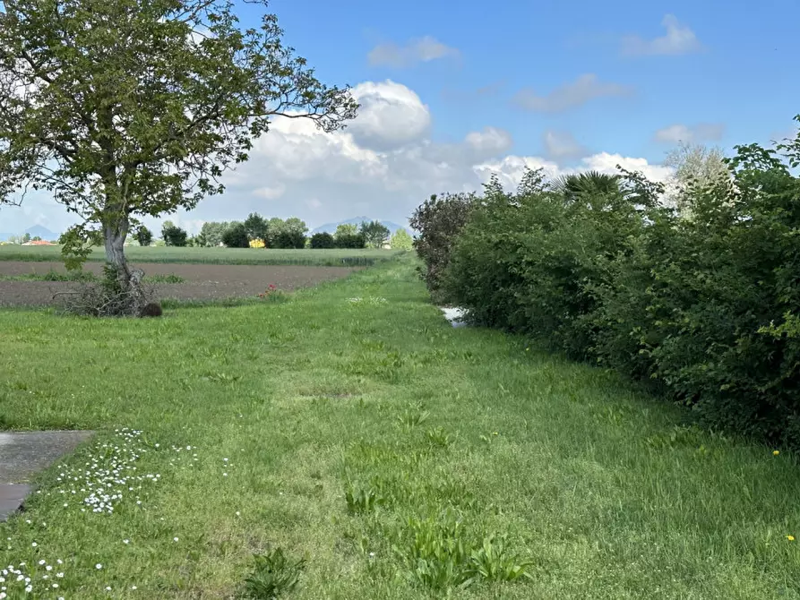 Immagine 5 di Terreno in vendita  in Via Lazzarin a Tribano