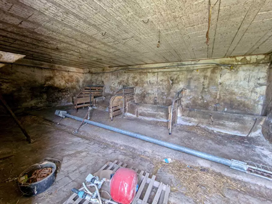 Immagine 15 di Rustico / casale in vendita  in Santa Maria Valcava a Macerata Feltria
