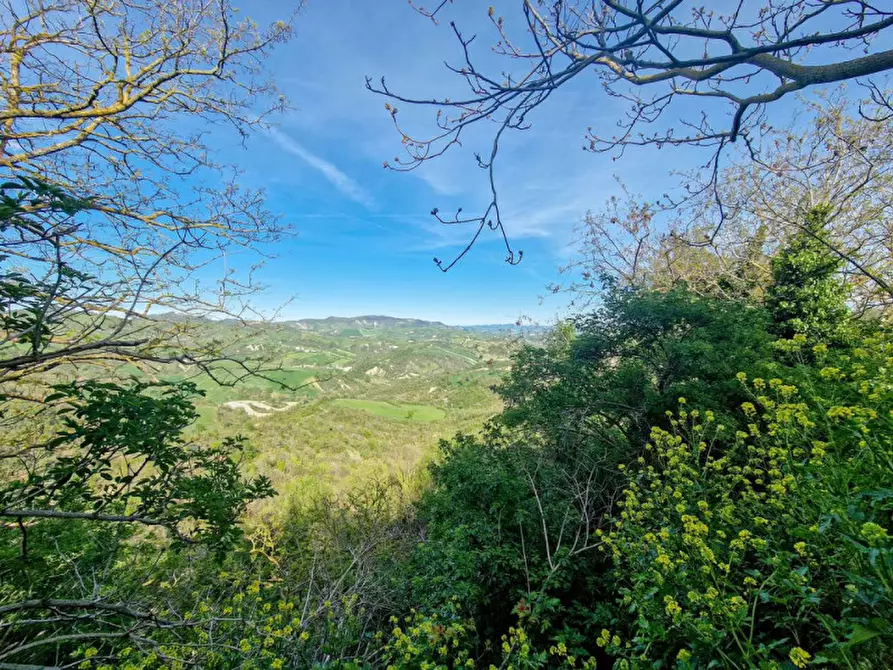 Immagine 19 di Rustico / casale in vendita  in Santa Maria Valcava a Macerata Feltria