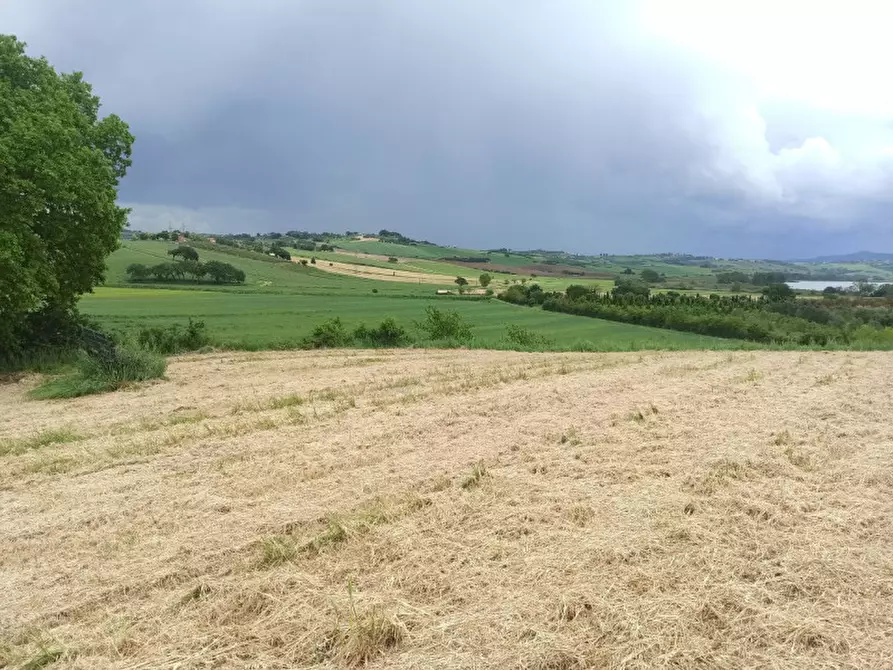 Immagine 2 di Terreno in vendita  in Via Roma a Castiglione Del Lago