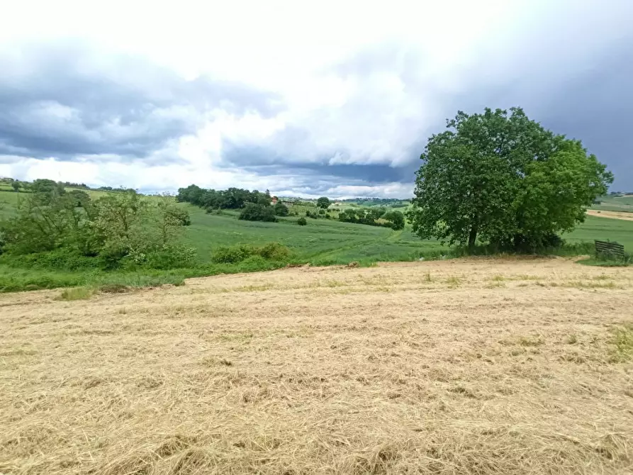 Immagine 3 di Terreno in vendita  in Via Roma a Castiglione Del Lago
