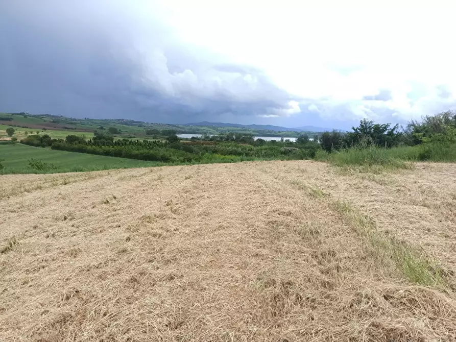 Immagine 4 di Terreno in vendita  in Via Roma a Castiglione Del Lago