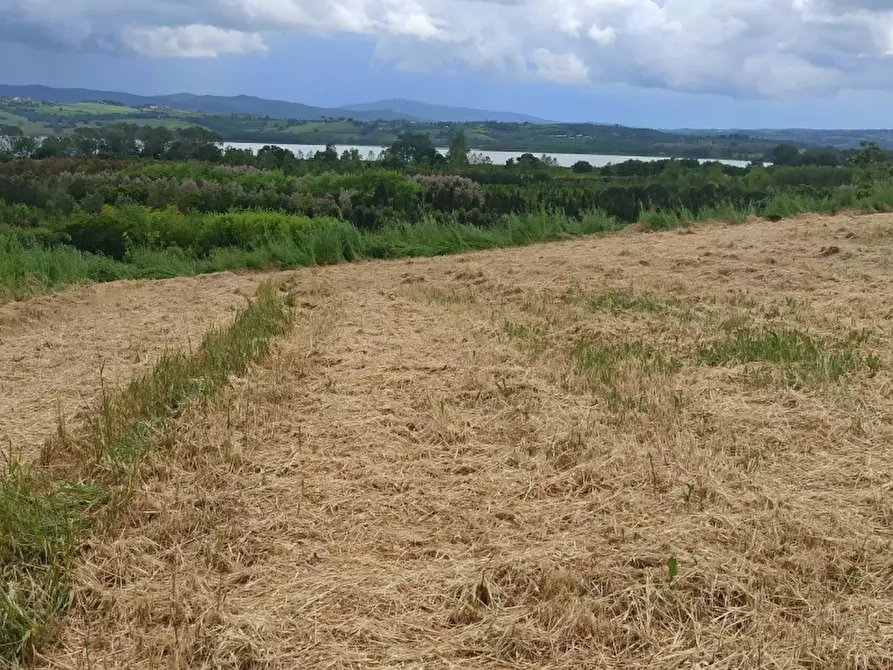 Immagine 5 di Terreno in vendita  in Via Roma a Castiglione Del Lago