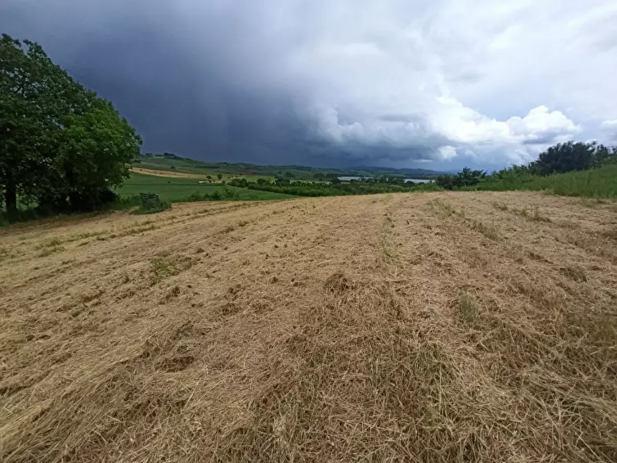 Immagine 6 di Terreno in vendita  in Via Roma a Castiglione Del Lago