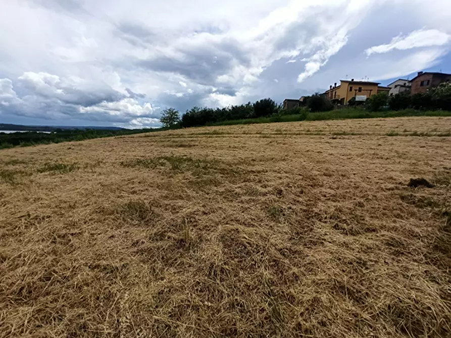Immagine 7 di Terreno in vendita  in Via Roma a Castiglione Del Lago