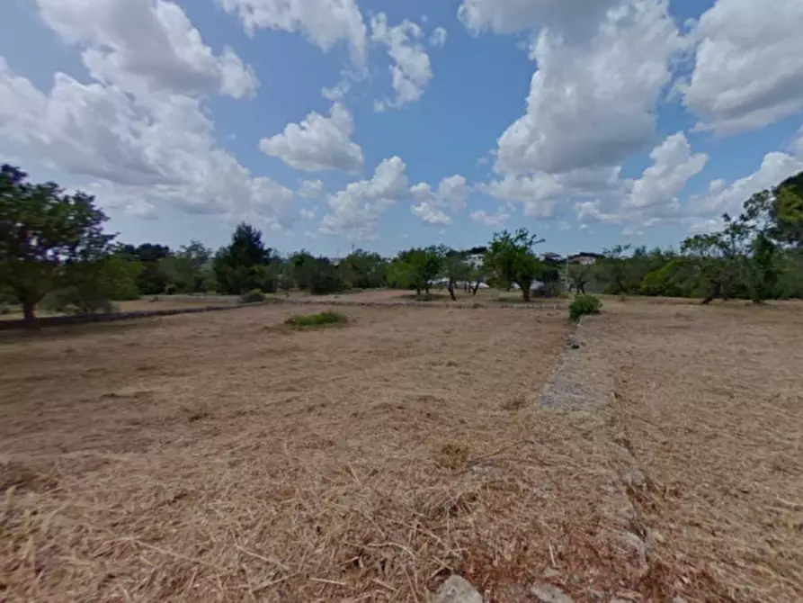 Immagine 5 di Rustico / casale in vendita  in OSFS a Ostuni