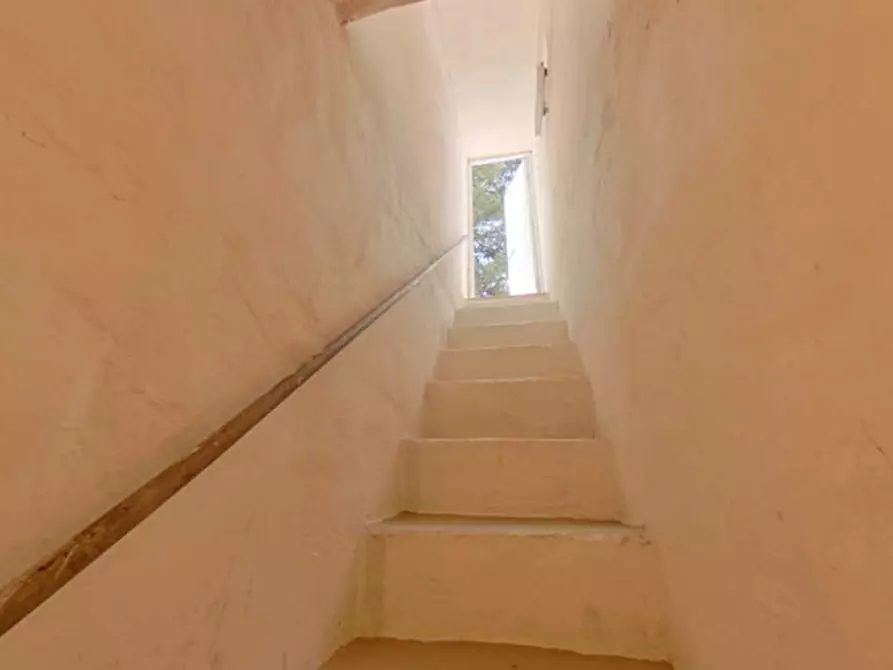 Immagine 34 di Rustico / casale in vendita  in OSFS a Ostuni