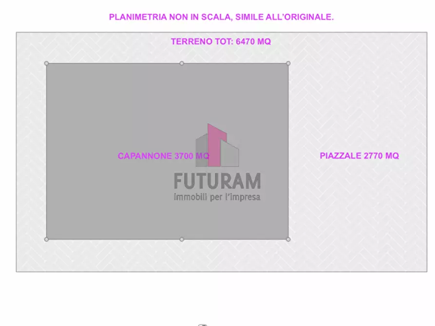 Immagine 5 di Capannone industriale in affitto  in VIA PALAZZON a Colceresa