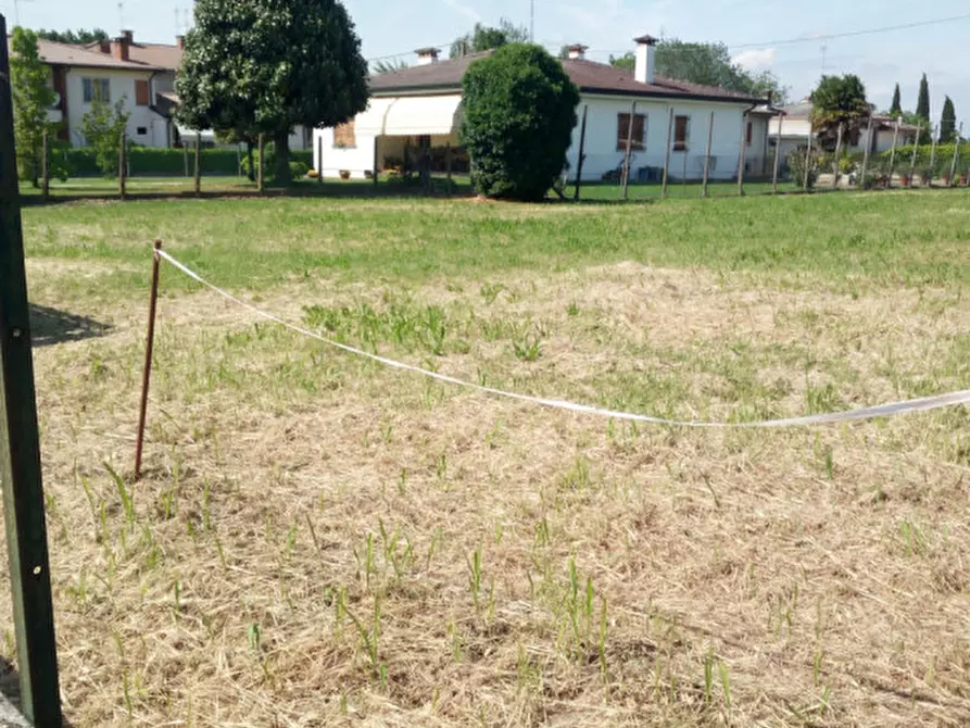 Immagine 2 di Terreno in vendita  a Masi