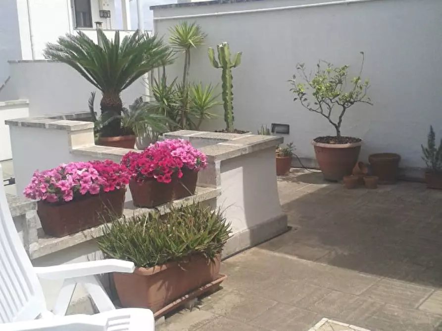 Immagine 54 di Casa indipendente in vendita  in VIA XX SETTEMBRE 8 a Campi Salentina