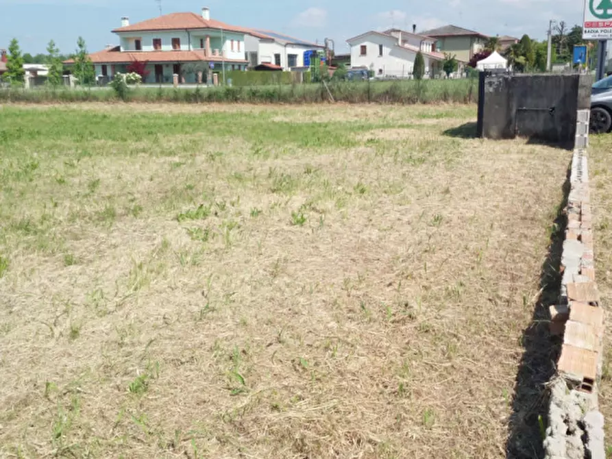 Immagine 4 di Terreno in vendita  a Masi