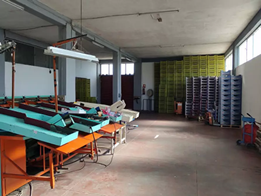 Immagine 2 di Magazzino in vendita  in c.da Pizzotto snc a Palagonia