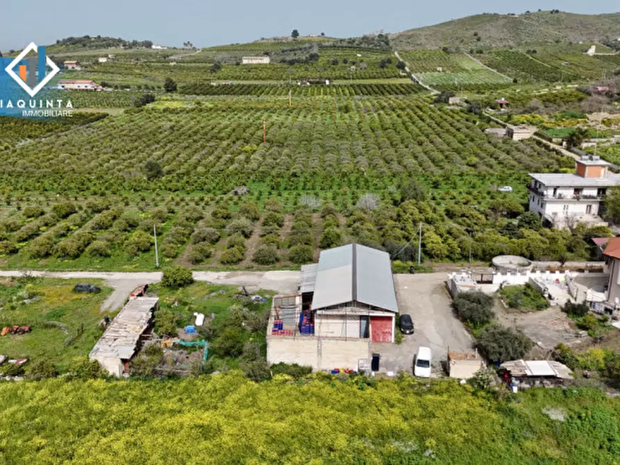 Immagine 3 di Magazzino in vendita  in c.da Pizzotto snc a Palagonia