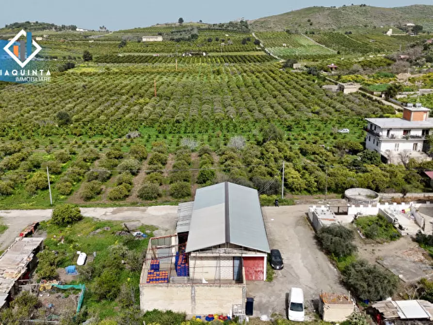 Immagine 7 di Magazzino in vendita  in c.da Pizzotto snc a Palagonia