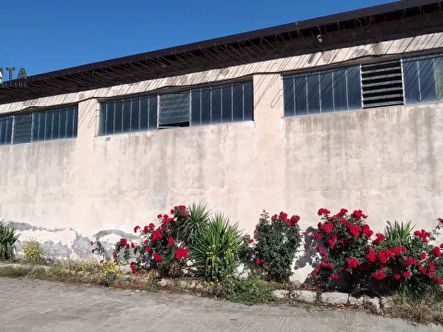 Immagine 10 di Magazzino in vendita  in c.da Pizzotto snc a Palagonia