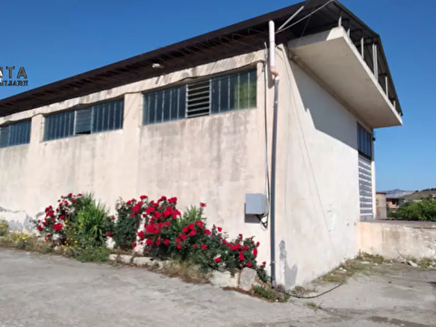 Immagine 15 di Magazzino in vendita  in c.da Pizzotto snc a Palagonia