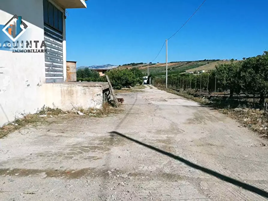 Immagine 16 di Magazzino in vendita  in c.da Pizzotto snc a Palagonia