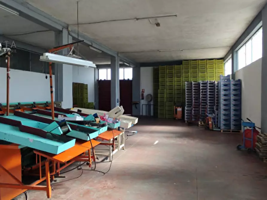 Immagine 17 di Magazzino in vendita  in c.da Pizzotto snc a Palagonia