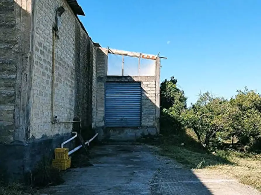 Immagine 19 di Magazzino in vendita  in c.da Pizzotto snc a Palagonia