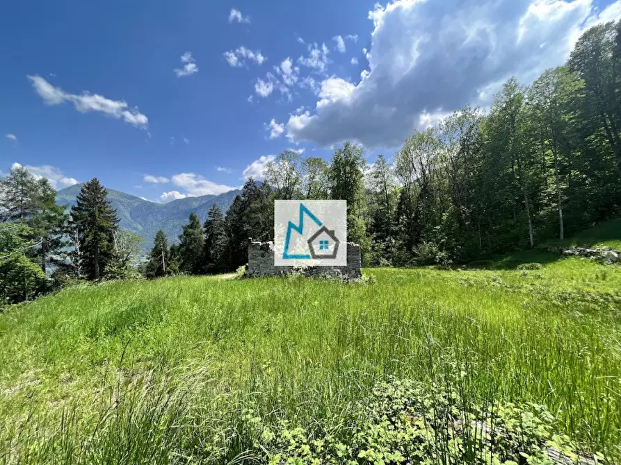 Immagine 6 di Rustico / casale in vendita  a Tione Di Trento