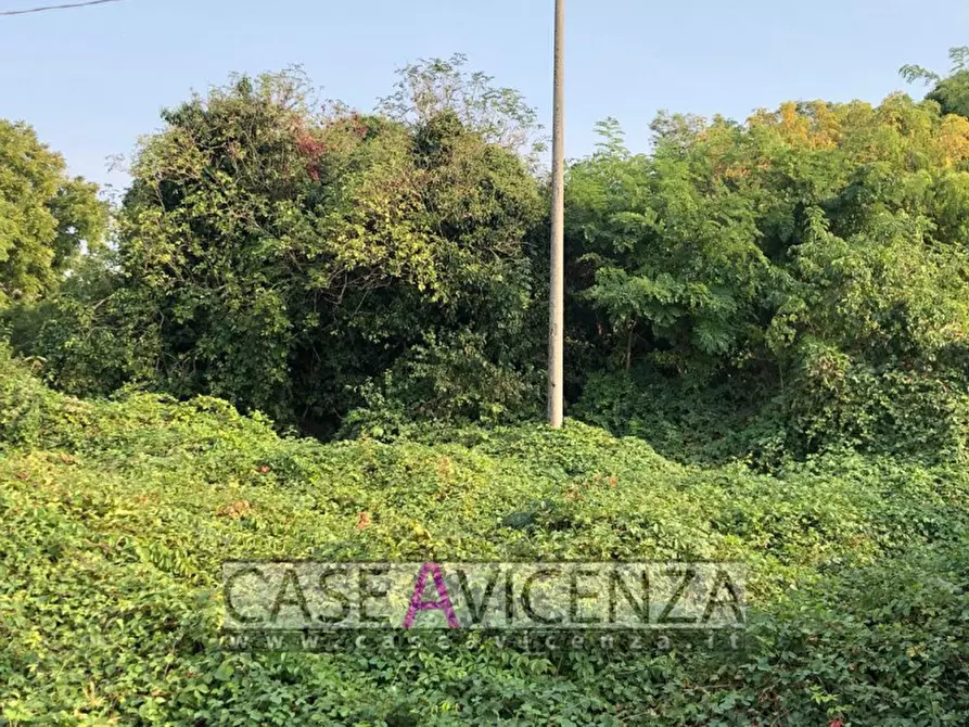 Immagine 5 di Terreno in vendita  in via roma a Grisignano Di Zocco