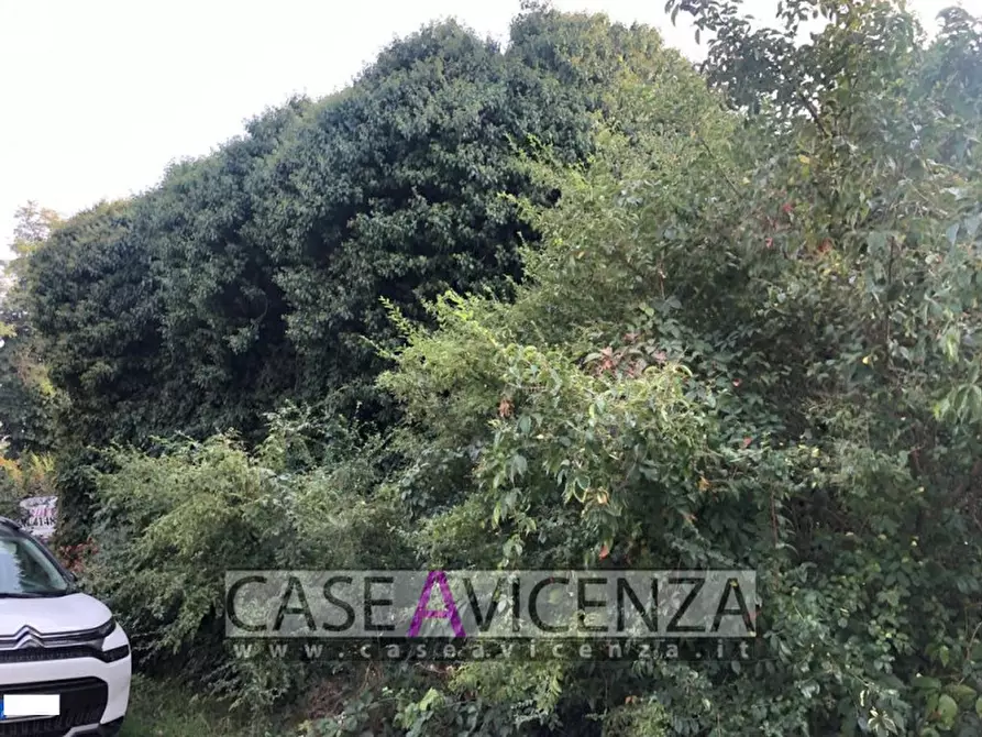Immagine 10 di Terreno in vendita  in via roma a Grisignano Di Zocco