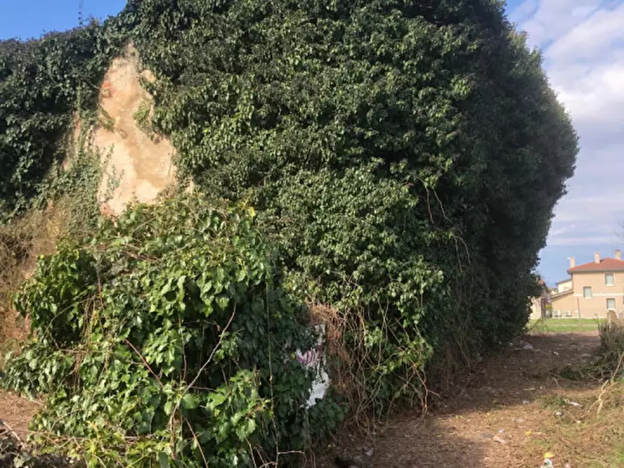 Immagine 37 di Terreno in vendita  in via roma a Grisignano Di Zocco