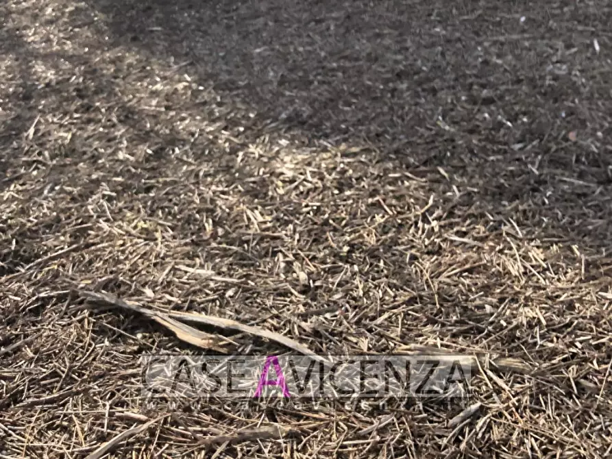 Immagine 44 di Terreno in vendita  in via roma a Grisignano Di Zocco