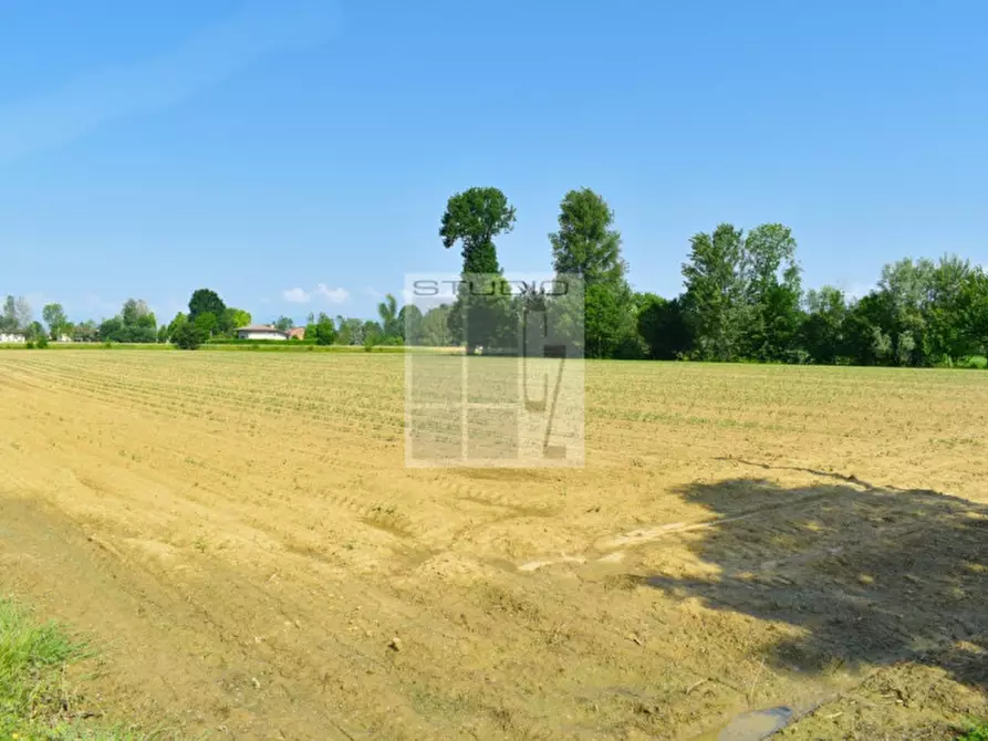 Immagine 3 di Terreno in vendita  in via Rio Bianco a Santa Giustina In Colle