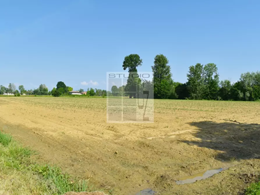 Immagine 5 di Terreno in vendita  in via Rio Bianco a Santa Giustina In Colle