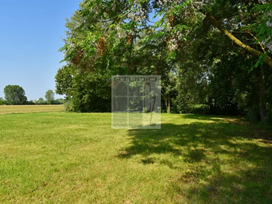 Immagine 7 di Terreno in vendita  in via Rio Bianco a Santa Giustina In Colle